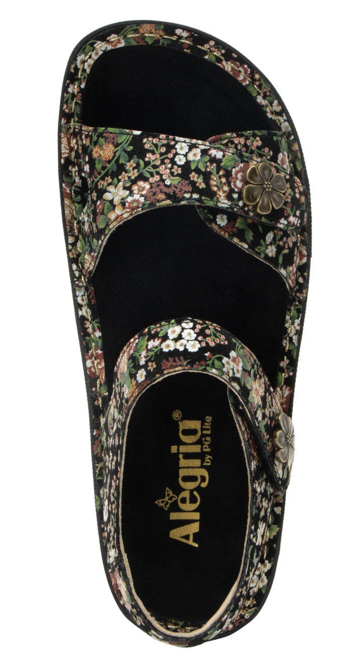 Alegria Vienna Ankle Strap on Sandals Earthy bloom  38 (7.5) cottagecore EUC